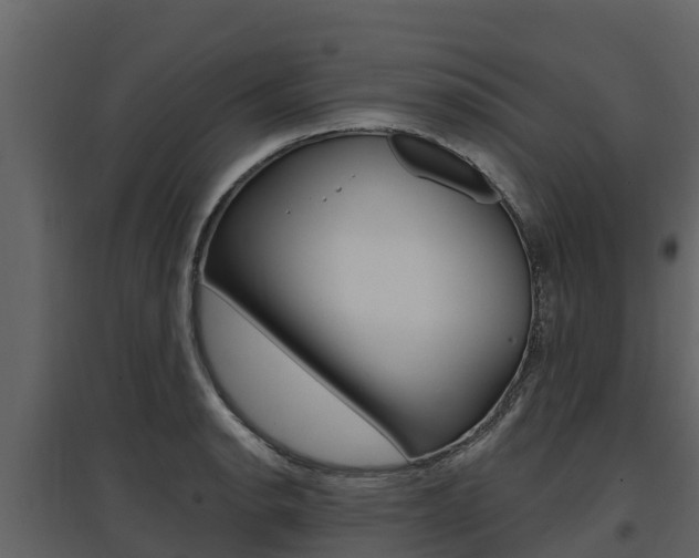 X0000097811134200803140753