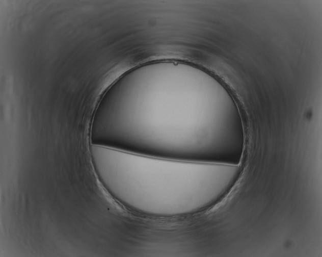 X0000097811137200803140753