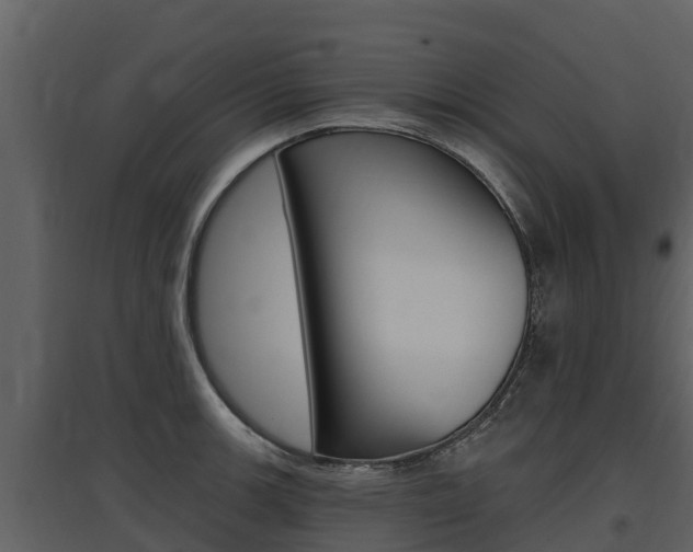 X0000097811139200803140753