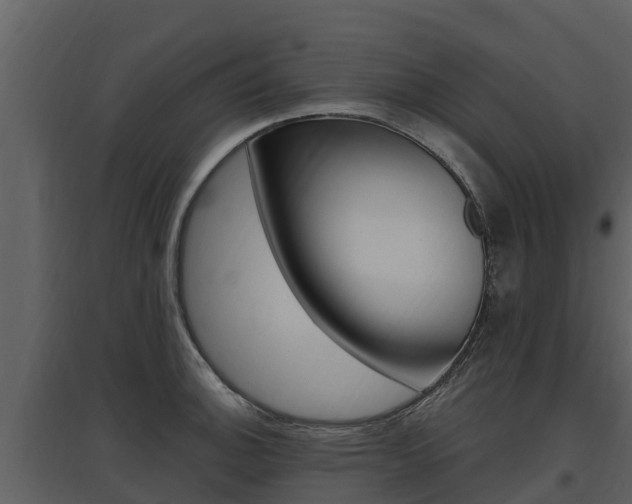 X0000097811140200803140753