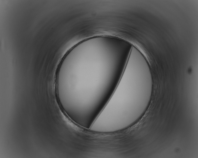 X0000097811143200803140753