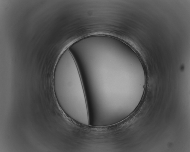 X0000097811145200803140753
