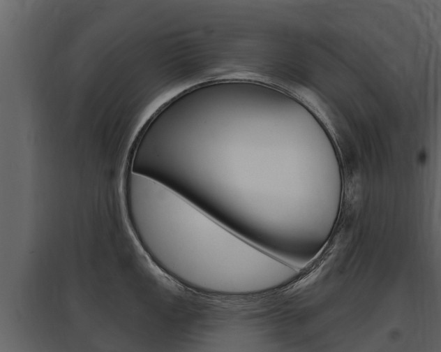 X0000097811149200803140753