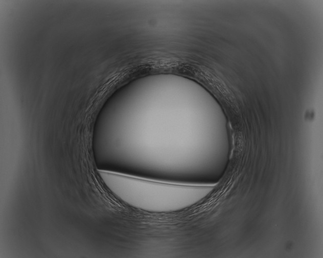 X0000097811153200803140752