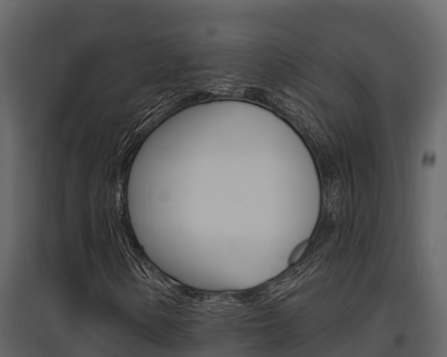 X0000097811154200803140752