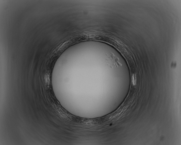 X0000097811155200803140752