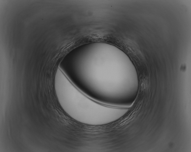X0000097811156200803140752