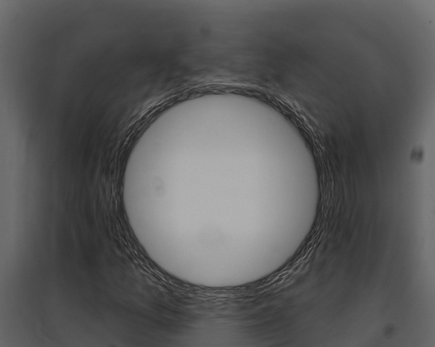 X0000097811157200803140752