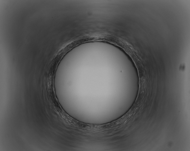 X0000097811158200803140752