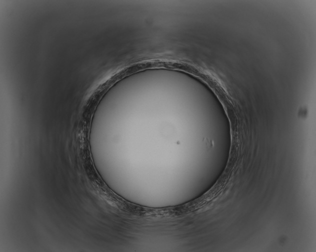X0000097811159200803140752