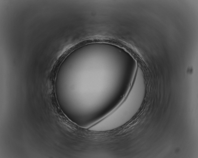 X0000097811160200803140752