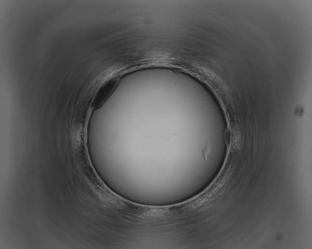 X0000097811161200803140752