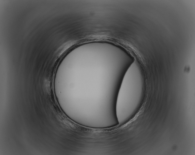 X0000097811162200803140752