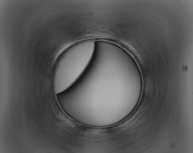 X0000097811163200803140752