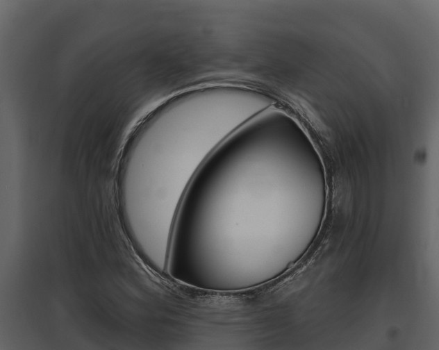 X0000097811164200803140752