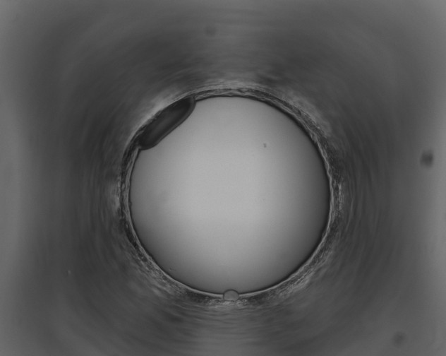X0000097811165200803140752