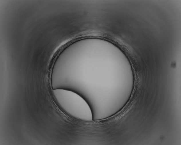 X0000097811166200803140752