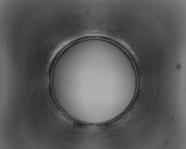 X0000097811167200803140752