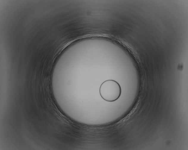 X0000097811169200803140752