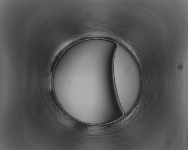 X0000097811171200803140752