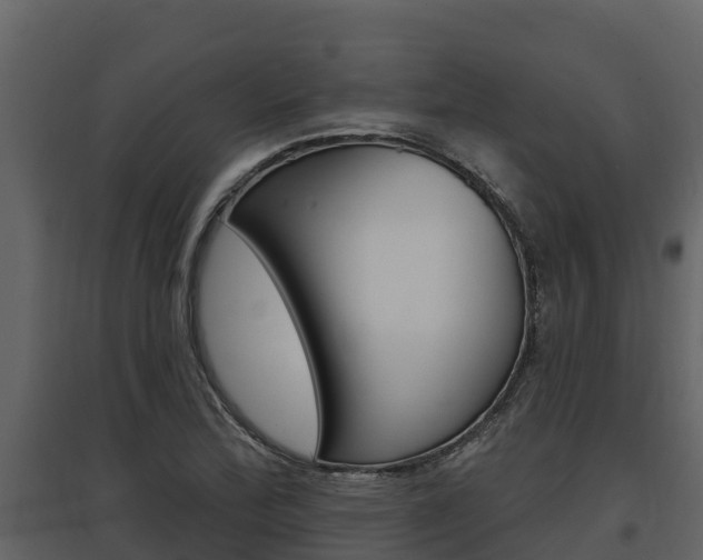 X0000097811172200803140752