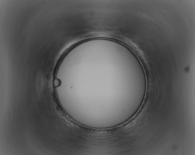 X0000097811174200803140752
