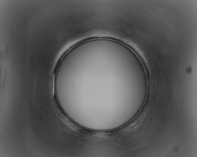 X0000097811175200803140752