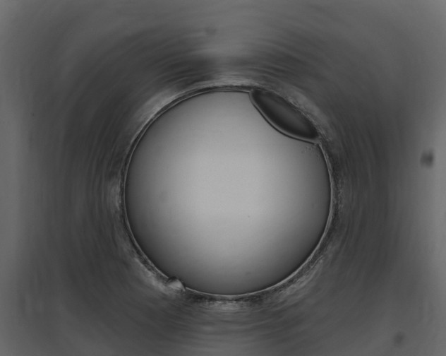 X0000097811177200803140752
