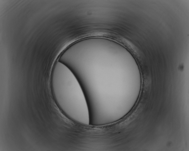 X0000097811178200803140752