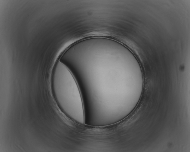 X0000097811179200803140752