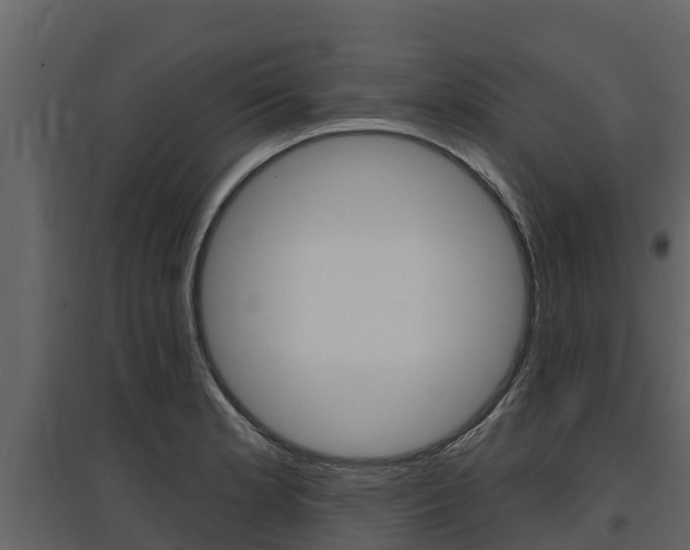 X0000097811181200803140752