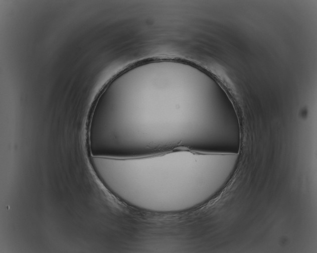 X0000097811183200803140752