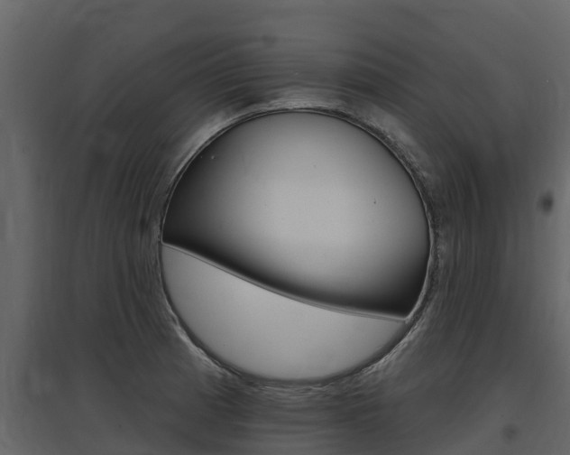 X0000097811185200803140752