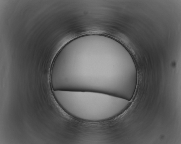 X0000097811186200803140752