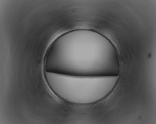 X0000097811187200803140752