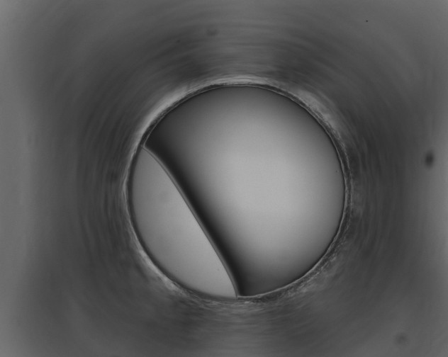 X0000097811189200803140752
