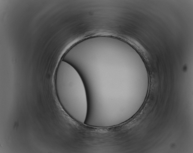 X0000097811190200803140752