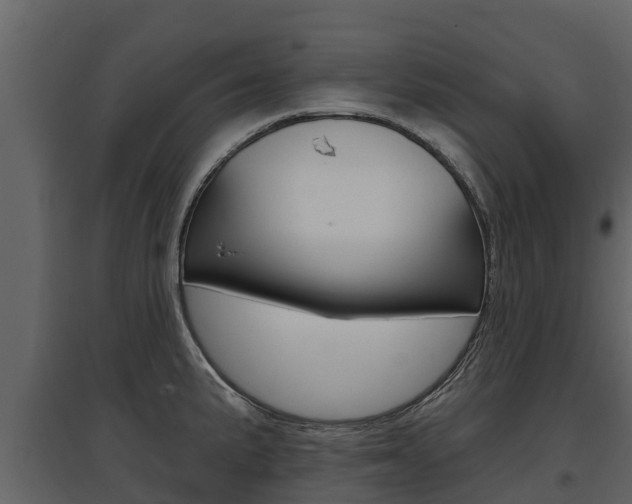 X0000097811191200803140752