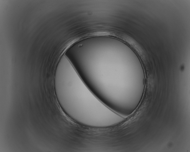 X0000097811193200803140752
