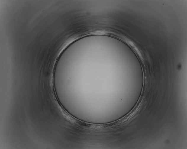 X0000097811194200803140752