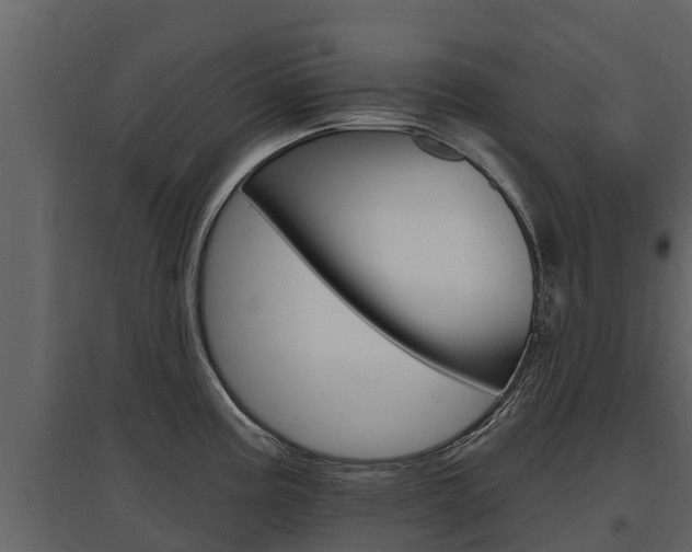 X0000097811195200803140752