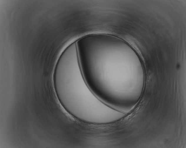 X0000097811197200803140752