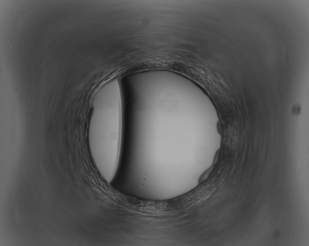 X0000097811201200803140751