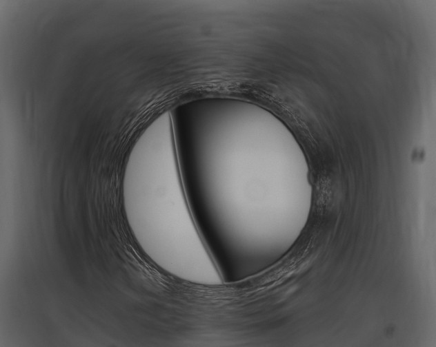 X0000097811202200803140751