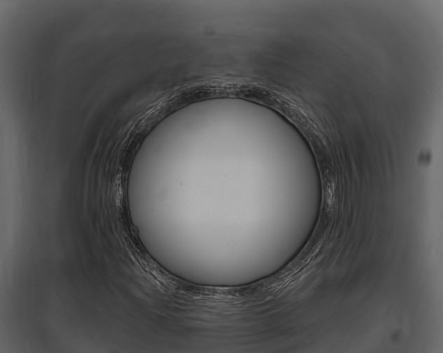 X0000097811204200803140751