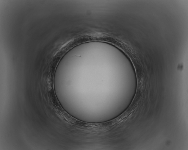 X0000097811205200803140751