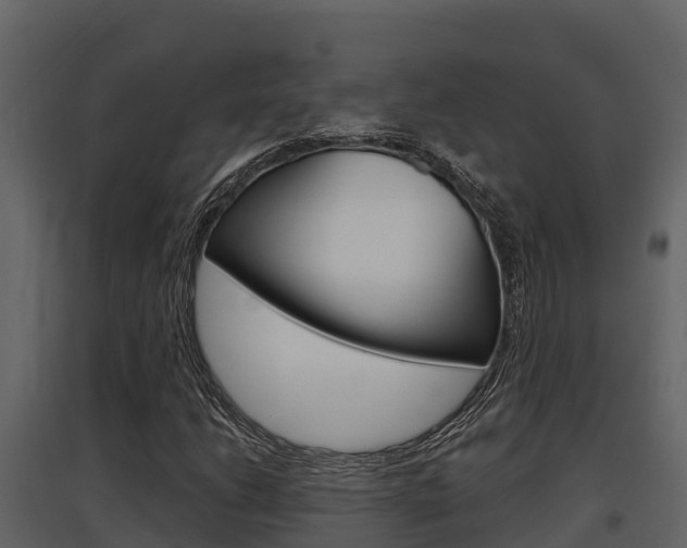 X0000097811206200803140751