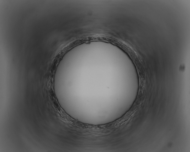 X0000097811207200803140751