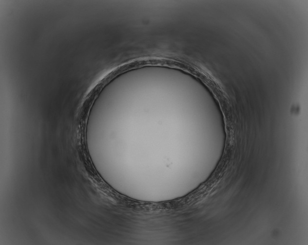 X0000097811208200803140751