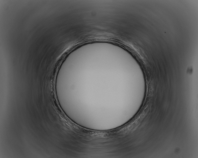 X0000097811211200803140751